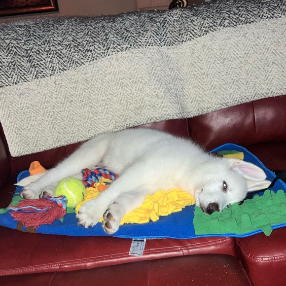 Puff and Percy's 30"x22" Snuffle Mat for Small Dogs, Rabbits, and‎ Cats NWT - Picture 5 of 6